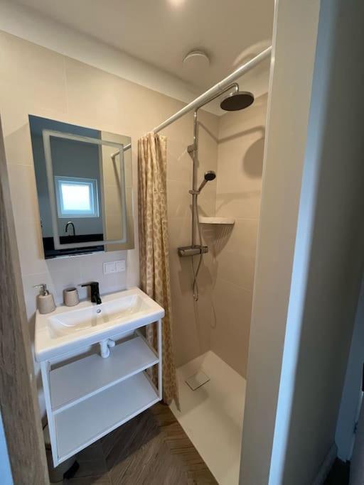 Renovated & Private Tinyhouse Den Haag Short Stay Appartment Exterior foto